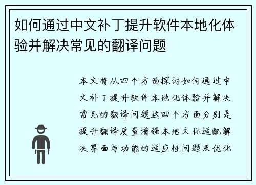 如何通过中文补丁提升软件本地化体验并解决常见的翻译问题