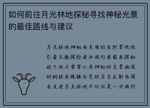 如何前往月光林地探秘寻找神秘光景的最佳路线与建议